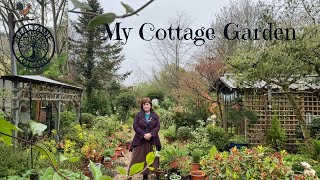 Bealtaine Cottage ~ Garden