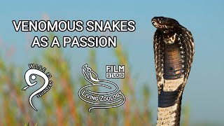 Deadly venomous snakes as a passion, young snake catcher speaks about snake conservation, Rinkhals