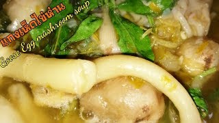 #แกงเห็ดไข่ห่าน​ (เห็ดระโงก)​Goose​ Egg​ mushroom​ soup.