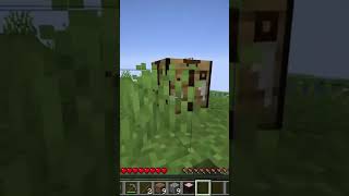 Minecraft 10 seconds every day - day 2