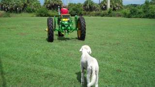 John Deere Model 40 Tricycle Tractor 1953-55.mp4