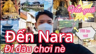 CR93 Vlog| Đến Nara tham quan ( công viên Nara park, ChùaTōdai-ji, chùa Kofuku-ji )Du lịch Nhật Bản