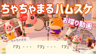 [あつ森]ハムスケ＆ちゃちゃまる　仲良し二人組♪　おしゃべり動画♪