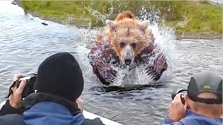 Встреча с диким медведем. Нападение медведя на человека. ТОП 10.