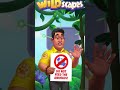 video creative for the game wildscapes