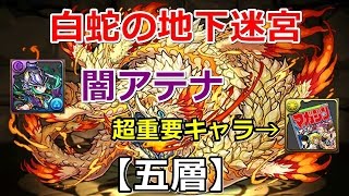 【白蛇の地下迷宮】五層-闇アテナ～重要なのはマガジンの本～【パズドラ実況】