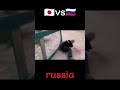Japanvsロシア門開き#shorts #バズれ #japan #russia #vs #🇯🇵vs🇷🇺#比較 #おすすめ#memes#のびろ