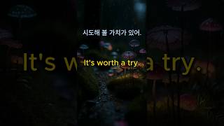 It's worth a try | 시도해 볼 가치가 있어, 시도해 볼 만해