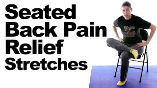 Seated Back Pain Relief Stretches