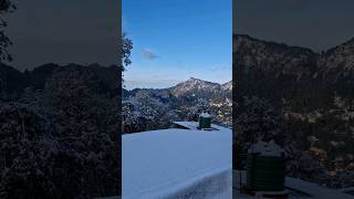 Again Snowfall in Nainital || 12 jan 2025 || #Nainital #viralshorts