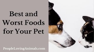 Best and Worst Foods for Your Pet [Includes Printable List of Foods Poisonous for Pets] #petfood