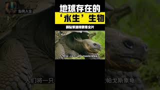 地球上最驚人的5種長壽動物！第一名竟可以打破時間限制，擁有“不死之身”，刷新你對生命極限的認知！ #科普 #動物壽命 #探索地球