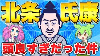 【８分でわかる北条氏康】戦国関東を駆け抜けた智将の軌跡～忙しい人向け～