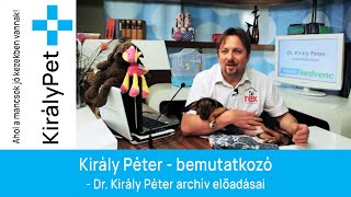 Király Péter - bemutatkozó