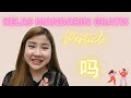 Kelas Bahasa Mandarin Gratis! Belajar Mandarin Gratis Belajar Mandarin Online! Cara Belajar Mandarin