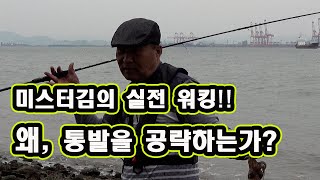 [강좌영상] 이것이 갑오징어 워킹 실전 낚시다. 통발 위치를 공략하라!! 본편