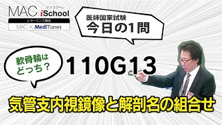 110G13 動画で学ぶ医師国試（MAC）気管支内視鏡像と解剖名の組合せ（今日の1問）