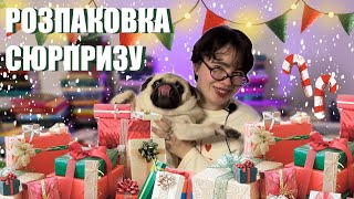 РОЗПАКОВКА ПОДАРУНКІВ📚 BookTube-сюрприз від @Strangelovee ❤️