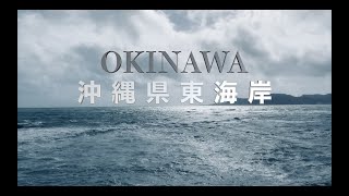 4K【沖縄県東海岸】台風11号接近中の「与那原町海岸」の様子です。