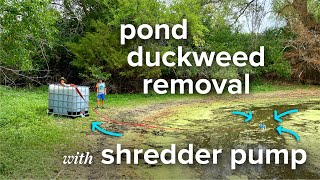 Pond duckweed removal with shredder pump