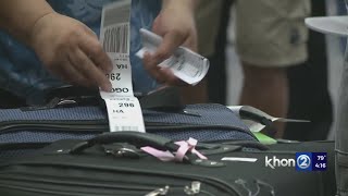 These items now qualify as standard checked baggage on Hawaiian Airlines