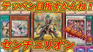 【遊戯王デッキ紹介】環境入り！テッペン目指すかんね！センチュリオンデッキ！【遊戯王OCG】【遊戯王ゆっくり】