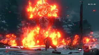 SEKIRO 再戦 苦難厄 怨嗟の鬼 4分55秒1 counter付 ※回生使用