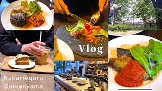 [VLOG] Nakameguro cost performance best lunch / cafe and shopping in Daikanyama / couple date