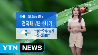 [날씨] 전국 대부분 소나기...천둥·번개, 더위 주춤해요! / YTN (Yes! Top News)