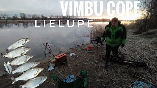 Vimbu cope Lielupē uz fīdera