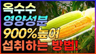 여름대표간식! 옥수수 900% 섭취하는 방법! 옥수수의 놀라운 효능