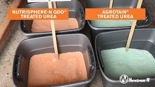 Verdesian Field Day – Limited Crusting with NutriSphere-N QDO Treated Urea