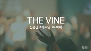 신용산교회 THE VINE 워십 | 죄에서 자유를 얻게 함은, 주님 한 분만으로, 나의 영혼이 | 2025.02.09