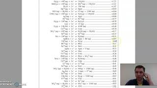 Standard Reference Half Cell