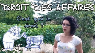 Droit des affaires - C'est quoi le droit ? #5