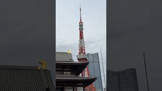 Shibu Park and Tokyo Tower #japan