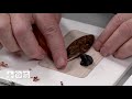 Cool Tools | Creating a Pendant with Apoxie® Clay by Christi Friesen