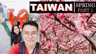 TAIWAN : TAIPEI 101 AND LOHAS CHERRY BLOSSOM