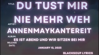 AnnenMayKantereit - Du tust mir nie mehr weh Lyrics