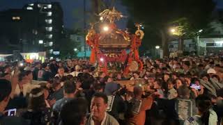 令和6年　2024.9.16　氷川神社例大祭　宮入担ぎ　レディースだけだけ！