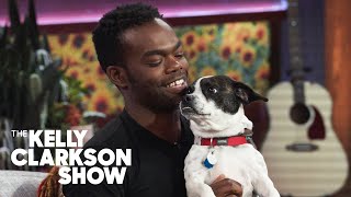 William Jackson Harper And His Dog Serenade Lea Michele And Kelly Clarkson