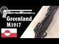 Hunting Rifles for Greenland: M1917 Enfield