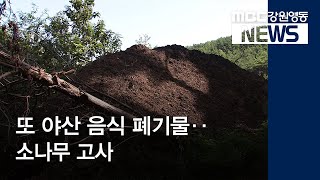 [뉴스리포트]또 야산 음식물 폐기물 퇴비‥소나무 고사190919