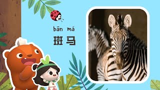 Early Learners | Why do Zebras have stripes? | Emmy\u0026GooRoo Nature Class | Kids Cartoons [SUBS]