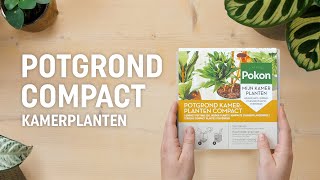 Pokon Kamerplanten | Potgrond Compact