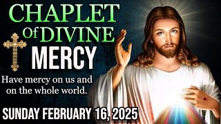 The Chaplet of Divine Mercy Sunday February 16 2025🙏DIivine Mercy