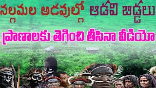 Nalla Mala Forest Tribes Chenchus of Nalla Mala  2 I Srisailam | Nandayal | Atmakur I Kurnool