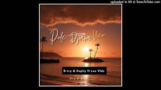 B-try \u0026 Sophy ft Lee Vidz_Pule Djiana Neu