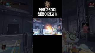 체력 250도 원콤내는 신캐 '일리아리'의 일풍참 콤보!