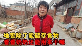 农村地窖除了能储存食物用还有啥作用奶奶说出其中的奥秘，厉害【三农小峰】